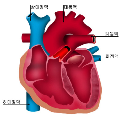 의약품 이미지